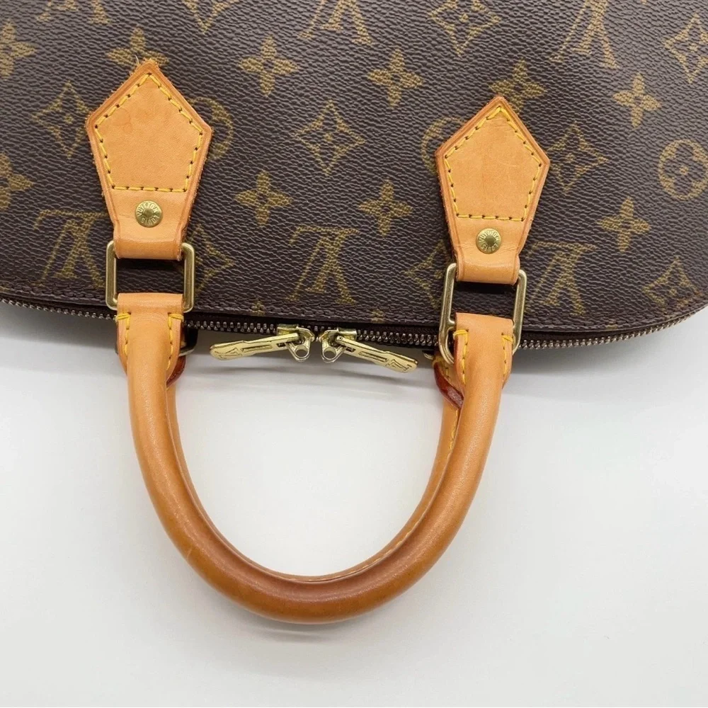 Louis Vuitton brand louis